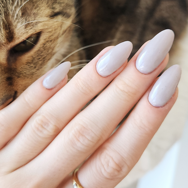 Brindle - Matte Nail Powder